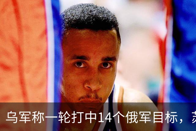 乌军称一轮打中14个俄军目标，苏-33与S-400都在列